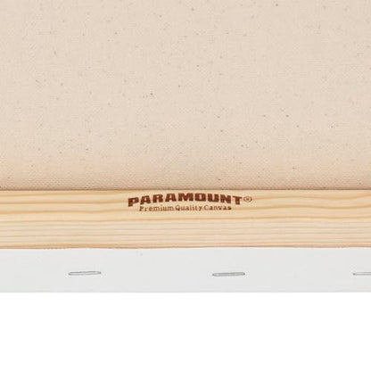 Paramount Canvas for Painting - Pack of 6, 12x16 White Canvases- 11/16" 100% Cotton Stretched Canvas, Triple-Primed for All Media, Medium Tooth, Back-Stapled, 12oz Primed Weight, Wood Stretcher Bars - size: 12x16" - Box of 6