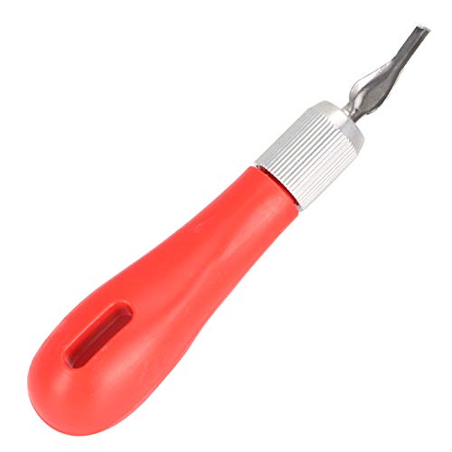 HEEPDD 2 Sets Wood Carving Tools Set, Stainless Steel Wood Block Carving Knifes with 2 Red Plastic Handle and 12 Blades Multifunctional Art Tools for Pumpkin Rubber Stamp Felt Craft