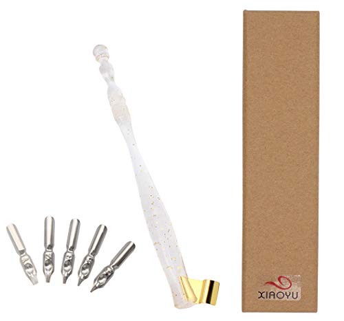 XIAOYU Calligraphy Oblique Nib Pen Holder, English Calligraphy Pen Nib Holder, Resin Dip Pen Handle Nib Holder with 5 Flat Nibs, Transparent - color: Transparent