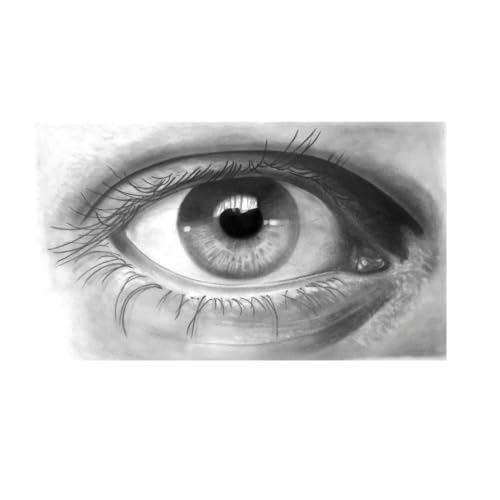 Faber-Castell Goldfaber Graphite Sketch Set