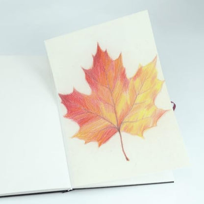 CuppaClip Sketch Book Hardcover Drawing Pad 300GSM Acid-Free Paper Spiral Bound Sketchbook 50 Sheets/100 Pages Art Supplies (Hardcover, 8.3x11.8in) - color: Hardcover, size: 8.3x11.8in