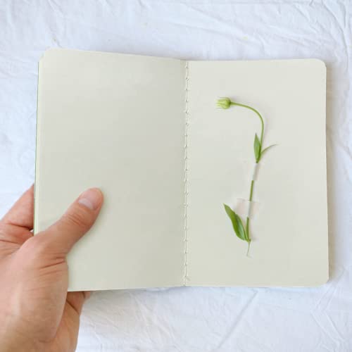 Gwybkq Small Unlined Pocket Notebooks 12 Pack Mini Notepads Journal Blank Sketch Book Pad for Kids Plain Notebooks Drawing Pad 3.5 x 5.5 Inches, 30 Sheets/60 Pages(Colorful Cover) - color: 12 Colors, style: Plain/Blank