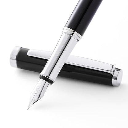 Fountain Pen Set,Extra Fine Nib,Includes 2 Ink Cartridges and Ink Converter, Ideal for Journaling and Calligraphy, Smooth-writing Fountain Pen(Silver) - color: Silver