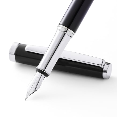 Fountain Pen Set,Extra Fine Nib,Includes 2 Ink Cartridges and Ink Converter, Ideal for Journaling and Calligraphy, Smooth-writing Fountain Pen(Silver) - color: Silver