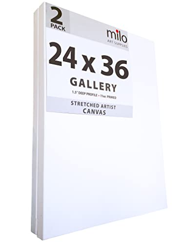 milo Stretched Artist Canvas | 24 x 36 inches | 2 Pack | 1.5” inch Thick Gallery Profile | 11 oz Primed Large Canvases for Painting, Ready to Paint Art Supplies for Acrylic, Oil … - size: 24" x 36" Pack of 2