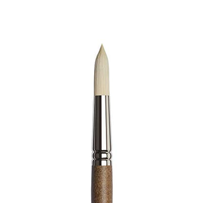 Winsor & Newton Artists' Oil Synthetic Brush, Filbert #1 - style: Filbert #1