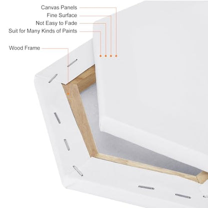 PATIKIL Paint Canvases for Painting, 2 Pack 12x10 Inch Hexagon Wood Frame Stretched Blank Art Canvas Board Panels for Acrylic, Oil, Tempera Painting, White - size: 12x10 Inch