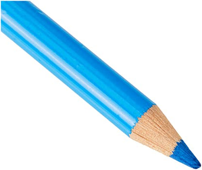 Faber-Castell Polychromos Artists' Single Pencil - Colour 110 Phthalo Blue - color: Phthalo Blue