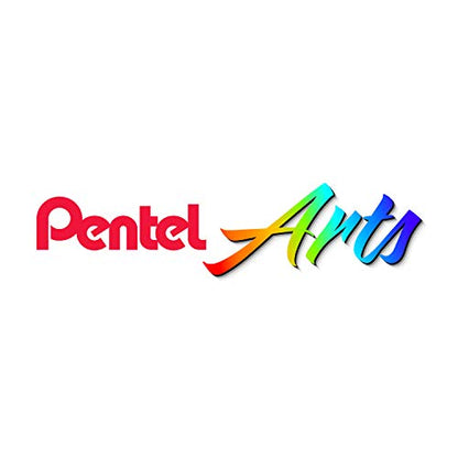 Pentel Arts Aquash Fine Point Water Brush, Medium (FRHMBP) - style: Medium