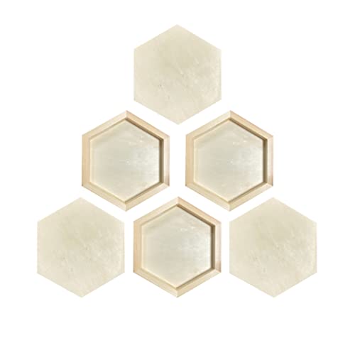 Hexagon Wood Canvas for Crafts, Framed Wooden Panel Boards for Painting (8x9 in,6 Pack)