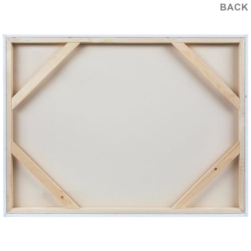 Hobby Lobby Master's Touch Grandeur Blank Canvas, Heavy-Duty Cotton Duck, Gallery-Wrapped, White (30"x40") - style: 30"x40"