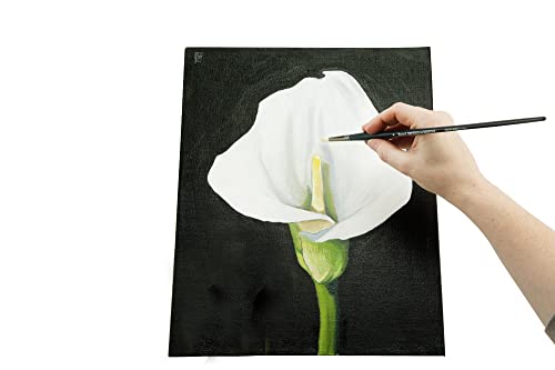 Senso Clear Primed Linen Stretched Canvas - Multi-Media Stretched Canvas for Oils, Acrylics, Pastels, & More! - 12x16 - size: 12x16"