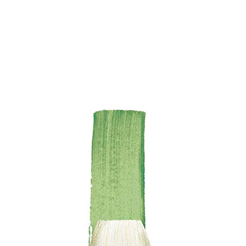Winsor & Newton 5974710 Winton Hog Flat #10 Bristle Brush - size: #10, style: Flat