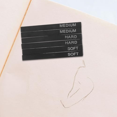 Carbon Charcoal Sticks and Highlight Charcoal Sticks Set 12 Pieces Professional Drawing and Sketching Pencils for Teens and Artists Compressed for Shading and Art Supplies