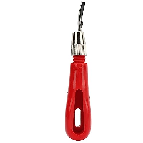 ANKROYU Professional Printmaking Carving Cutter Set with 6 Stainless Steel Blades Ergonomic Handle for Wood Linoleum Pumpkin Carving DIY Art Sculpting Red