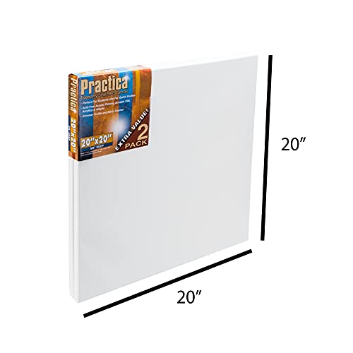 Practica Economy Stretched Cotton Canvas - Acid-Free Acrylic Primed Canvas for Acrylics, Pastels, Graphite, & More! - [2-Pack - 20x20] - size: 20x20"