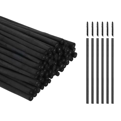 MECCANIXITY 100Pcs Willow Charcoal Sticks, 2-4mm Willow Charcoal Pencils Soft Sketch Vine Art Supplies Set for Drawing Sketching Shading Painting Artists Beginners