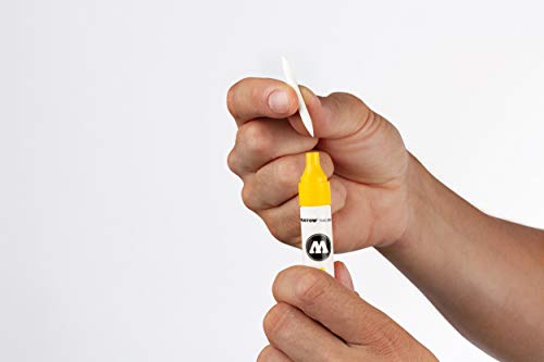 Molotow Aqua Colour Brush (Brush Pen Marker Basic Set 2, Brush Tip for Watercolour and Hand Lettering) 12 Pieces Assorted - style: Case Basic Set 2
