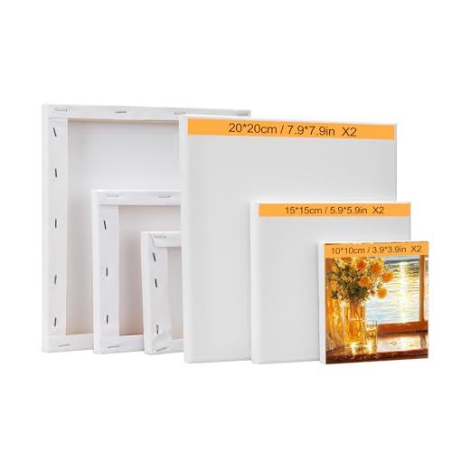 6-Piece Canvas Set for Painting – 11.8x7.9”, 7.9x5.9”, 5.9x3.9”, 7.9x7.9”, 5.9x5.9”, 3.9x3.9” Stretched Canvas Panels – White Artist Canvas Boards for Oil, Acrylic & Craft Painting (Model C) - size: Model C