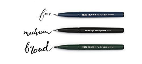 Pentel SESP15 Brush Sign Pen Pigment - Flexible Fibre Tip Marker - Black Pigment Ink - Calligraphy, Lettering & Illustration - Fine, Medium, Broad Point