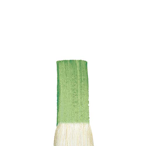 Winsor & Newton Winton Hog Bristle Brush-Bright #8, 8, Green - size: #8, style: Bright