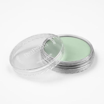 PanPastel Artist Pastels by GOLDEN, Chromium Oxide Green Tint, 2.44” / 62mm Pan Diameter, Professional Artist Pastels, Unique Pan Format (cake-like) - color: Chromium Oxide Green Tint, size: 1 Count (Pack of 1)