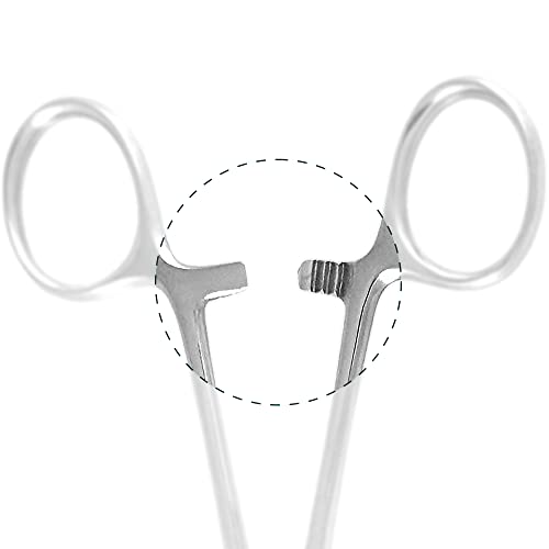 SURGICAL ONLINE Set of 2 Premium Quality 12" Rochester Pean Hemostat Forceps Straight & Curved Clamps Three Locking Positions - SurgicalOnline