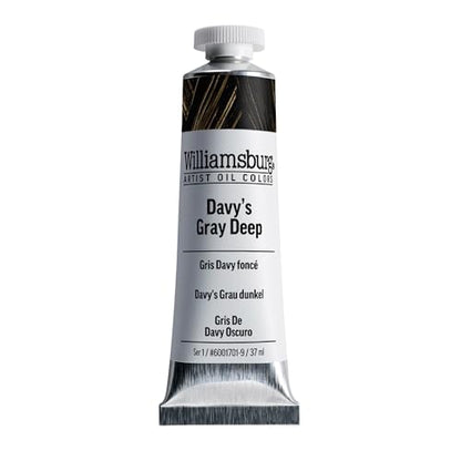 Williamsburg Artist Oil Colors by GOLDEN, Davy's Gray Deep, 37 ml tube, Professional Oil Paint, Semi-Opaque - color: Davy's Gray Deep, size: 1.25 Fl Oz (Pack of 1)