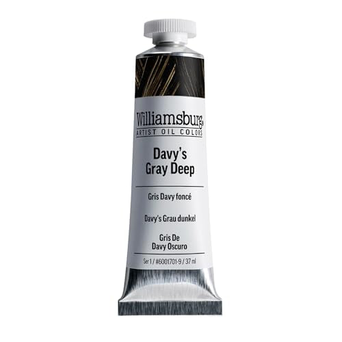 Williamsburg Artist Oil Colors by GOLDEN, Davy's Gray Deep, 37 ml tube, Professional Oil Paint, Semi-Opaque - color: Davy's Gray Deep, size: 1.25 Fl Oz (Pack of 1)
