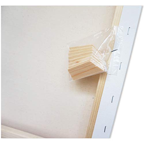 LWR CRAFTS Stretched Canvas 12" X 16" Pack of 6 - size: 12"x16"x6