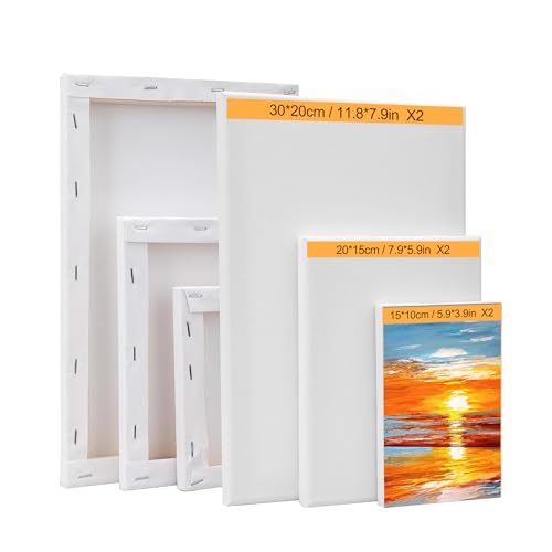6-Piece Canvas Set for Painting – 11.8x7.9”, 7.9x5.9”, 5.9x3.9”, 7.9x7.9”, 5.9x5.9”, 3.9x3.9” Stretched Canvas Panels – White Artist Canvas Boards for Oil, Acrylic & Craft Painting (Model B) - size: Model B