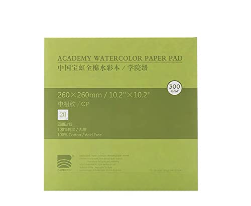 BAOHONG Academy Grade Watercolor Block, 100% Cotton, Acid-Free, 140LB/300GSM, Cold Press Textured, 20 Sheets per Block (Cold Press 10.2"x10.2") - size: Cold Press 10.2" x 10.2"