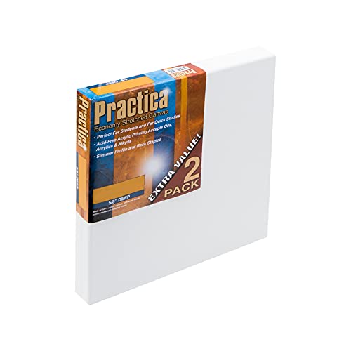 Practica Economy Stretched Cotton Canvas - Acid-Free Acrylic Primed Canvas for Acrylics, Pastels, Graphite, & More! - [2-Pack - 8x8] - size: 8x8"