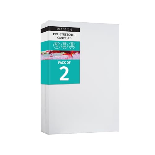 1-1/2 (1.5) inch Pack of 2 Stretched Canvas for Painting. 12oz Primed 100% Cotton Canvas Fabric (22 x 28 inch) - size: 22 x 28 inch, style: Pack of 2