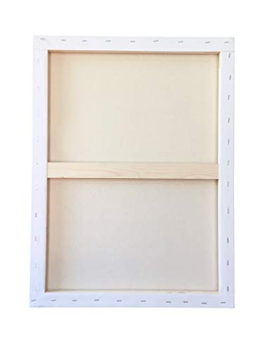 milo Pro Stretched Artist Canvas | 24x30 inch | Pack of 4 | 3/4” inch Thick Studio Profile | Ready to Paint 11 oz Primed Heavy Duty Large Canvas Art Supplies for Painting - size: 24" x 30" Pack of 4