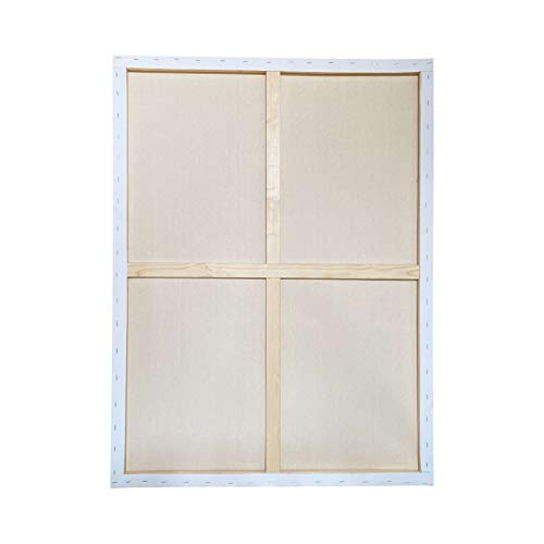 milo Pro Stretched Artist Canvas | 24x36 inch | Pack of 4 | 3/4” inch Thick Studio Profile | Ready to Paint 11 oz Primed Heavy Duty Large Canvas Art Supplies for Painting - size: 24" x 36" Pack of 4