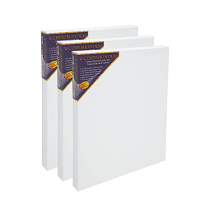 Centurion Deluxe Professional Acrylic Primed Linen Pre-Stretched Canvases, 11oz Linen - 20"x30", Box of 3, 1.5" Deep - Kiln-Dried Stretchers, Back Stapled, Canvas for Painting, Museum Archival Quality - size: 20"x30"