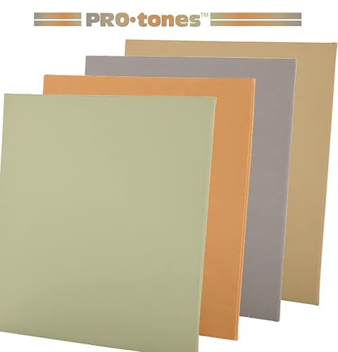 Paramount Pro-Tones All-Media Toned Canvas Panels 3-Pack - Triple-Primed 100% Cotton Canvas, Non-Reflective Colors - Dune 6x8 - color: Dune, size: 6x8"