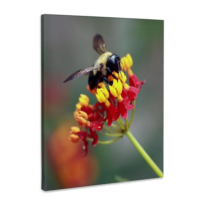 3dRose Museum Grade Canvas Wrap, Multicolor - size: 20"L x 16"W