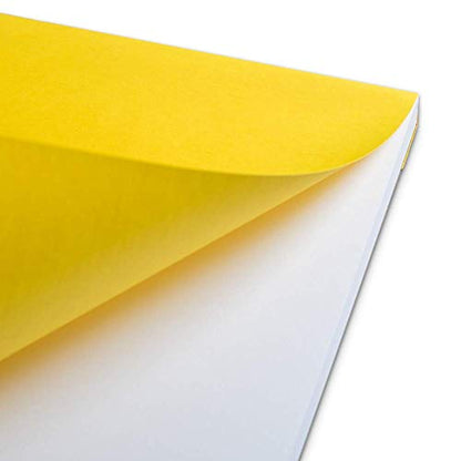 Schoellershammer Bristol Paper Pad A3, 50 Sheets, 180gsm White Paper, Black/White VF5004291 - size: A3, style: Bristol Paper (180gsm)