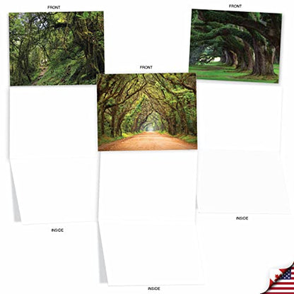 Best Card Co Box of 10 All Occasion Cards Blank (4 x 5.12 Inch) Scenic Landscape Cards Assorted Nature Trails for Men and Women M6467OCB-NB - style: Nature Trails