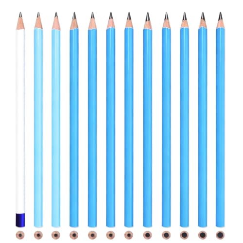 Mifuner 12 Graphite Pencils Professional Drawing Set, Art Supplies for Sketching Shading Blending, Gifts for Artists Adults Beginners. Black - color: Black