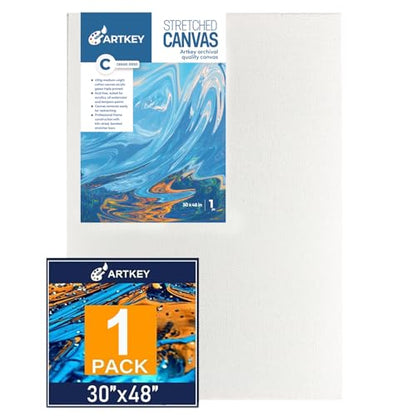 Gallery Wrapped Stretched Canvases for Painting 30x48 Inch 1-Pack, 16 oz Triple Primed Acid-Free 100% Cotton Blank Canvas, Rectangular Spline Canvas for Oil Paint Acrylics Pouring & Wet Art Media - size: 30"x48"(1-Pack), style: Exhibition