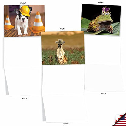The Best Card Company - 10 Adorable Note Cards Blank (4 x 5.12 Inch) - Wildlife and Animal, Assorted Boxed Set - Capped Creatures M6470OCB - style: Capped Creatures
