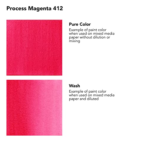 Daler-Rowney FW Acrylic Artists Ink, 180ml/6oz Plastic Bottle, Process Magenta (D160181412)