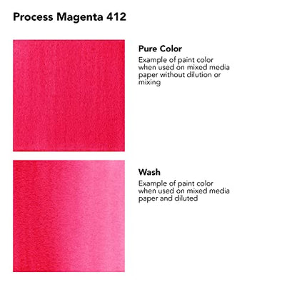 Daler-Rowney FW Acrylic Artists Ink, 180ml/6oz Plastic Bottle, Process Magenta (D160181412)
