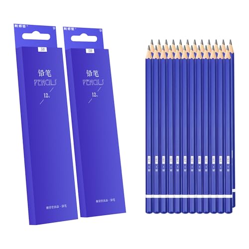 XDT#5B Drawing Pencils 24 Piece Set, Pro Art Graphite Sketching&Shading Supplies, Ideal For Kid Beginner Student Adults Artist - color: 5B 24 Pc Set