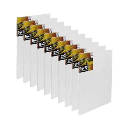 Jerry's Artarama Da Vinci Dual Sided Pro Panel Board - 20-Pack, 16x20 6mm Deep Panels for Painting - Archival, Acid-Free Art Supplies - Ultra-Smooth & Medium Textured Paint Surfaces - size: 16x20"