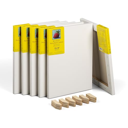 Strathmore 300 Series Traditional Stretched Canvas Pack, 12x16 inch, 6 Pack, Art Canvas for Students Professionals - size: 12x16 inch, style: Traditional Profile