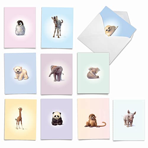 The Best Card Company Assorted Wildlife Watercolor Blank Animal Greeting Card Box Set - 10 Unique Notecards Designs + Envelopes, for Thank You, Invitations, More - Zoo Babies M6726OCB - style: Zoo Babies